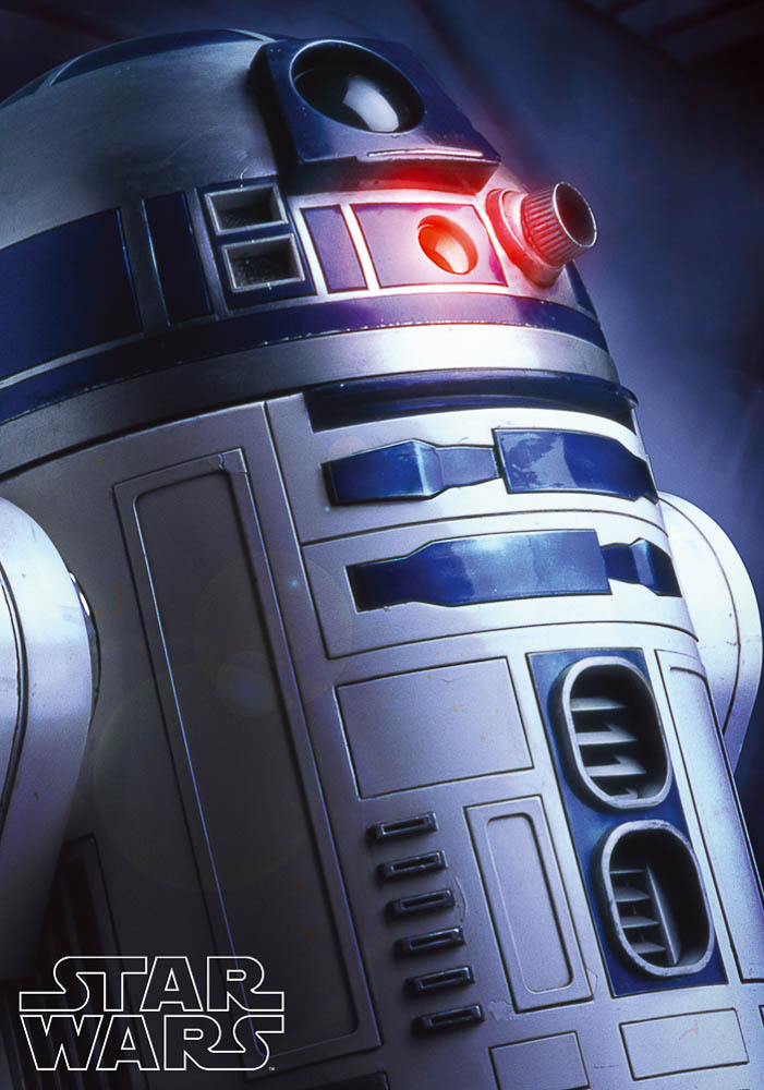 Sorteo nuevos puzzles de Star Wars de Educa Borras-6
