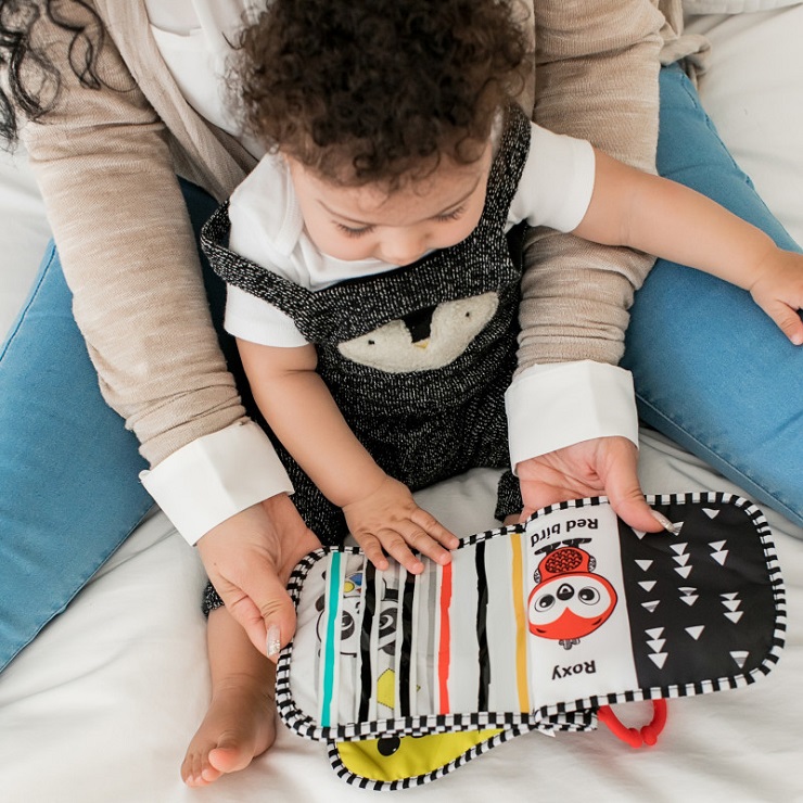 baby-einstein-primary-pages-high-constrast-book