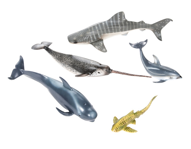 eduland-animales-del-mar