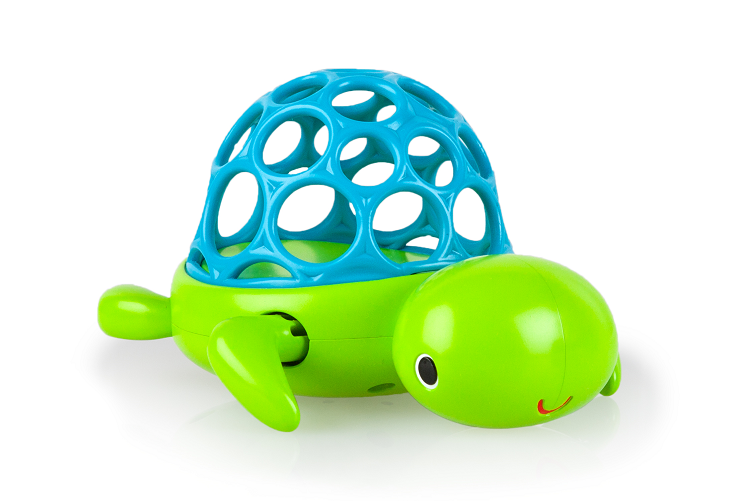 o-tortuga