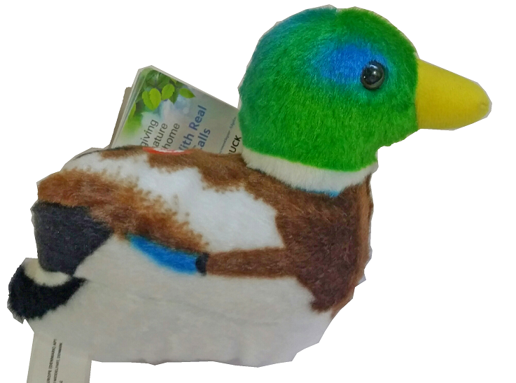 peluche-anade-azulon-seo-birdlife