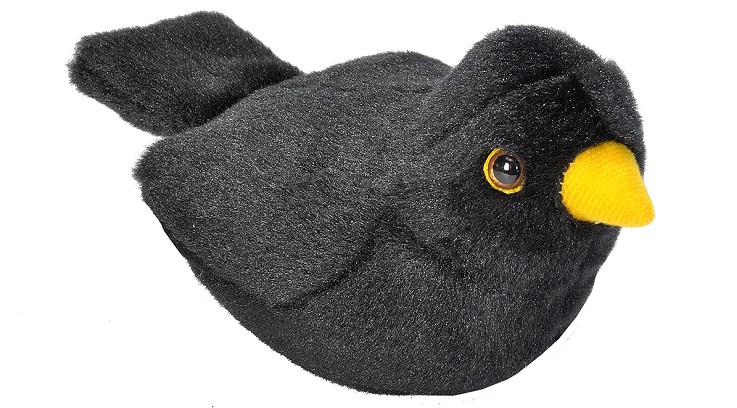peluche-mirlo-seo-birdlife